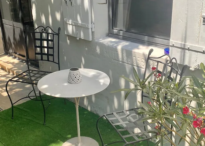 Les Lauriers Duplex Centre Ville Avec Jardin